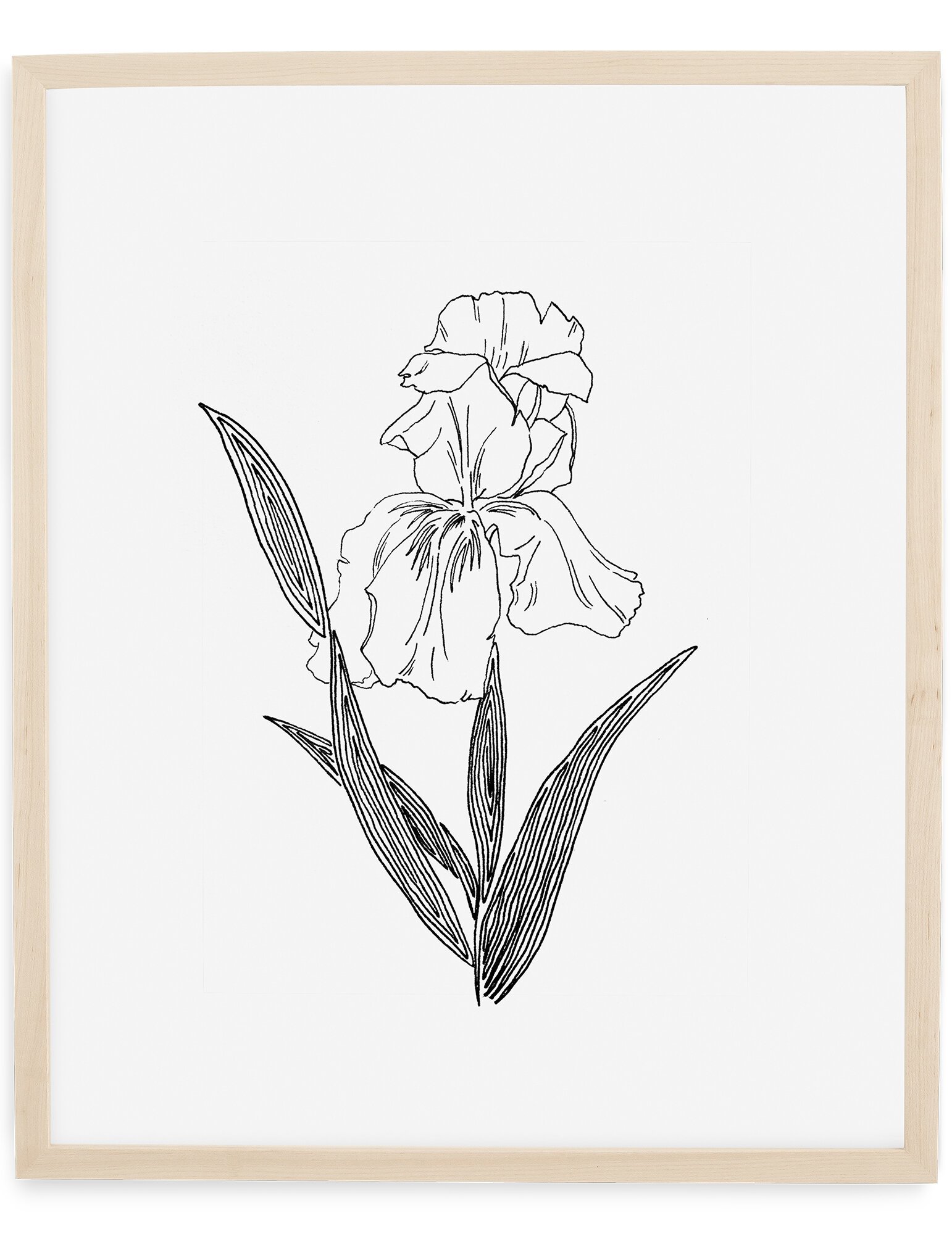 LainaMiller_Framing-NoMat copy.jpg